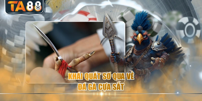 Khái quát sơ qua về đá gà cựa sắt